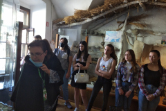 img_20200915_120423 img_20200915_120423